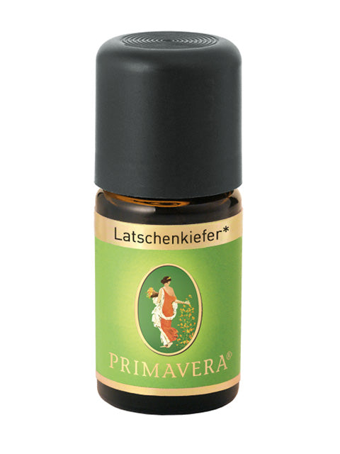 Latschenkiefer bio 5 ml