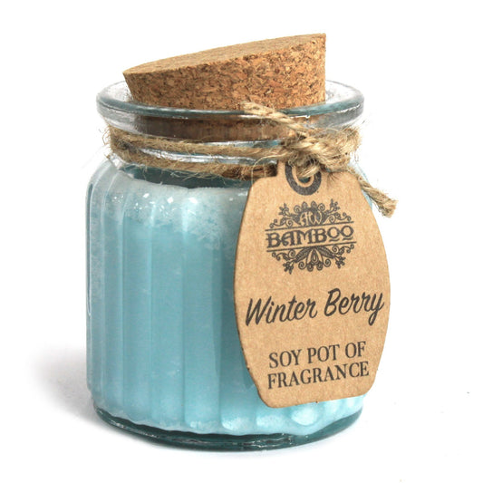 Soy candles in jars - winter berries