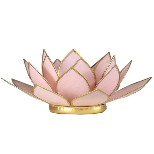 Romantischer Lotus Teelichthalter: Zartes Rosa mit Goldglanz aus Capiz Muscheln, 13,5 cm